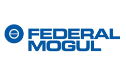 Fedral Mogul